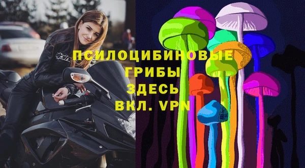 прущие крисы Абаза