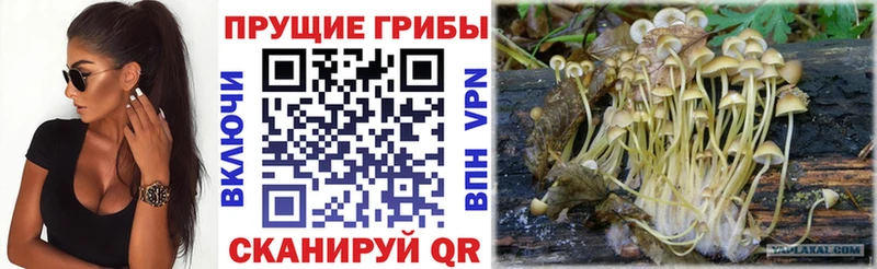 МЕГА зеркало  Бобров  Псилоцибиновые грибы Magic Shrooms 